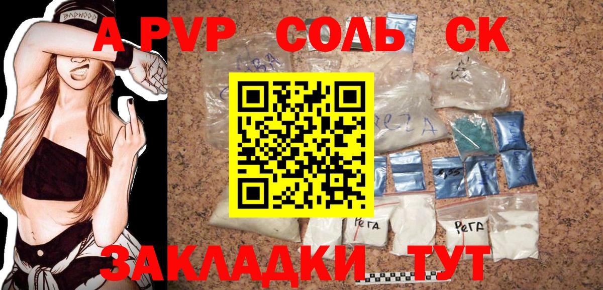Альфа ПВП СК Курчалой
