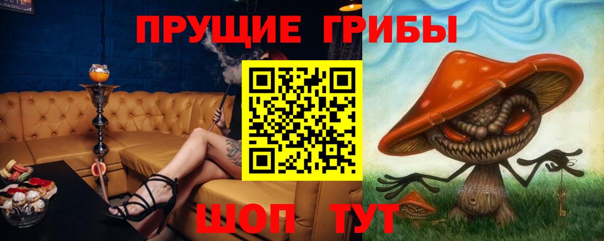 Псилоцибиновые грибы MAGIC MUSHROOMS  где можно купить наркотик  Курчалой  Псилоцибиновые грибы мухоморы  Вход с VPN 